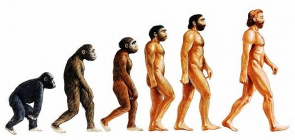 L&rsquo;evoluzione biologica e psicologica della specie